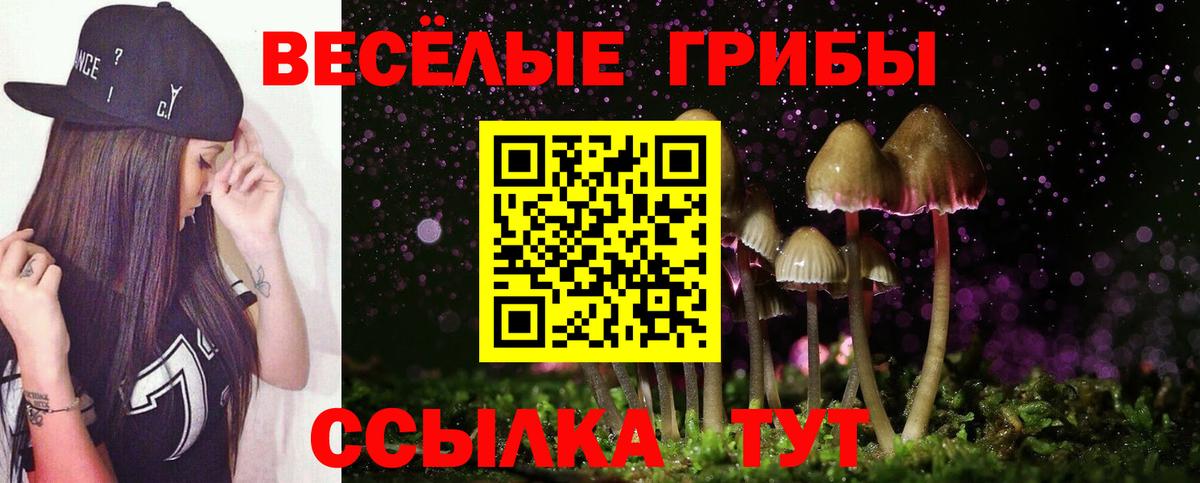 Галлюциногенные грибы Psilocybine cubensis Похвистнево